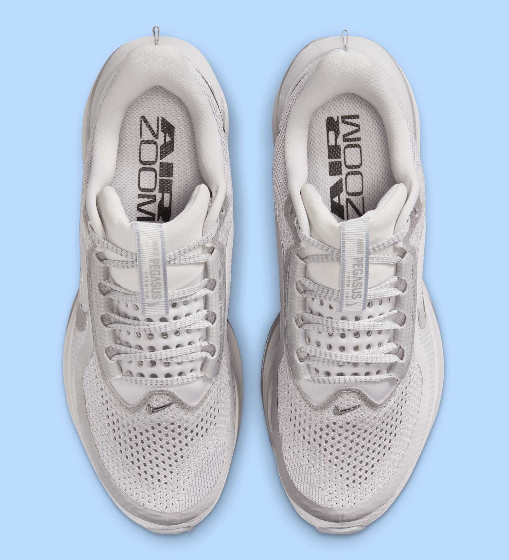 【Nike】 (W) Pegasus Premium Atmosphere llic Silver Women's Pegasus Premium (102 - White/Metallic Silver